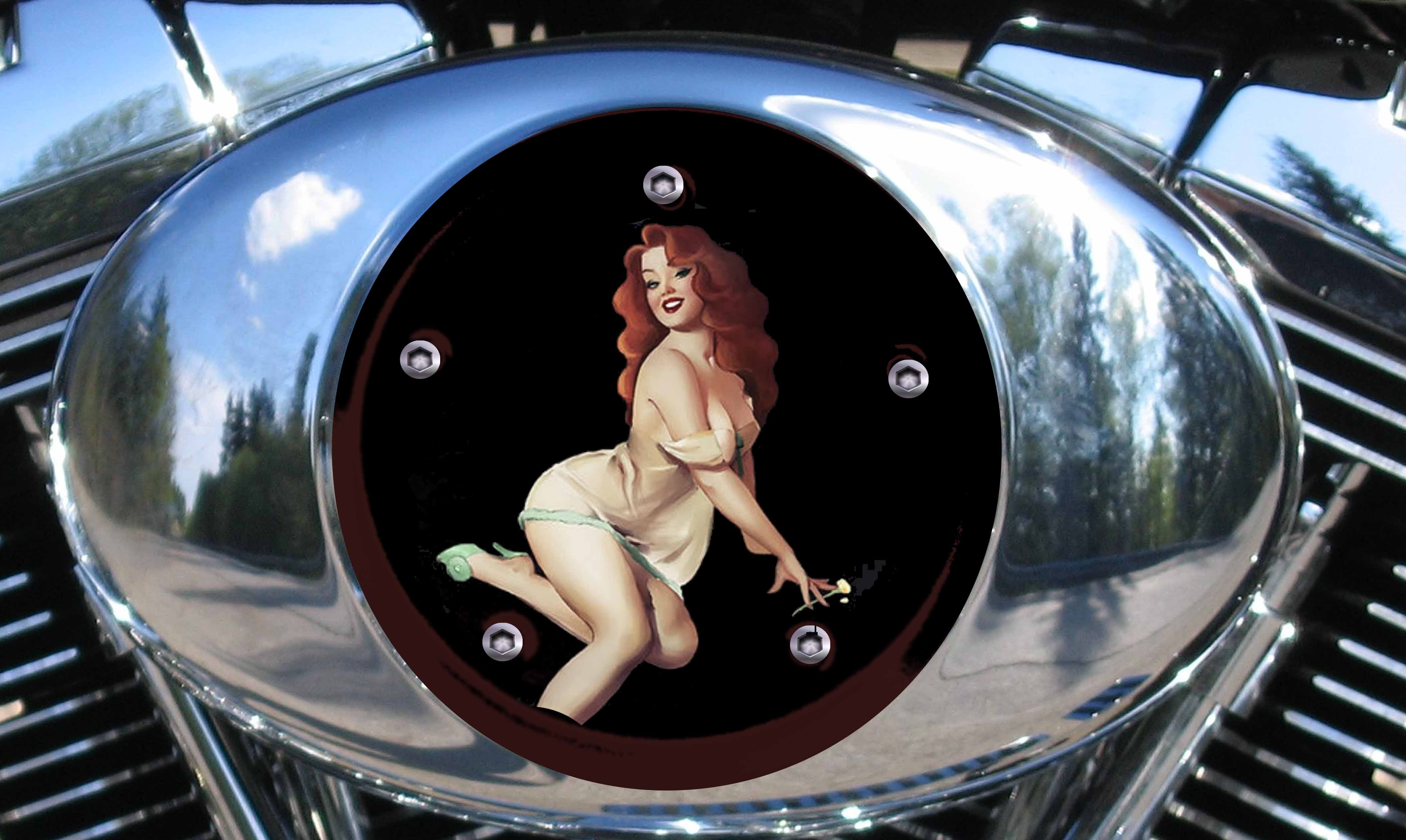 Harley Air Cleaner Cover - Red Head Beauty